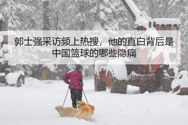 郭士强采访频上热搜，他的直白背后是中国篮球的哪些隐痛